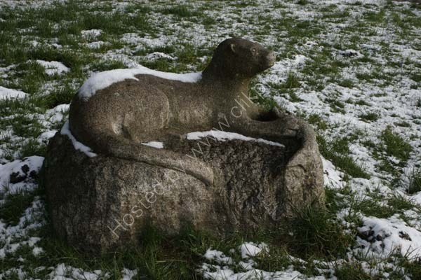 Snowy Otter